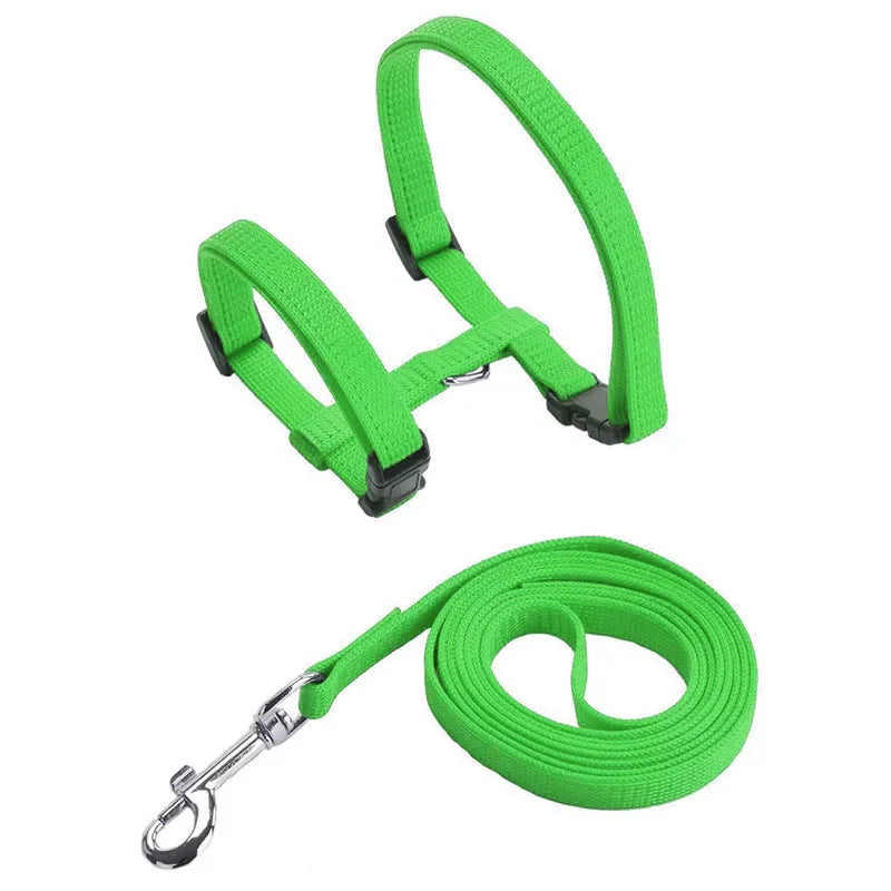 Escape-proof Small Dog Cat Harness Collar