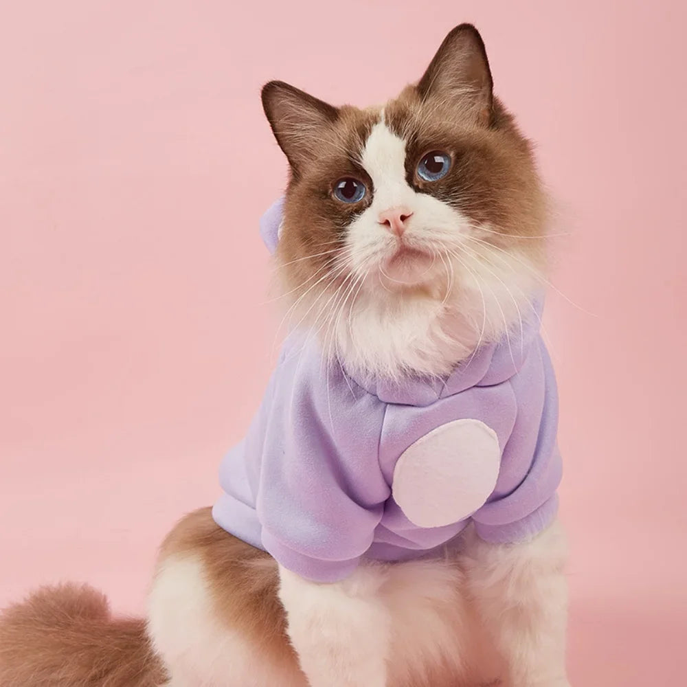 Cute Hairless Cat Clothes