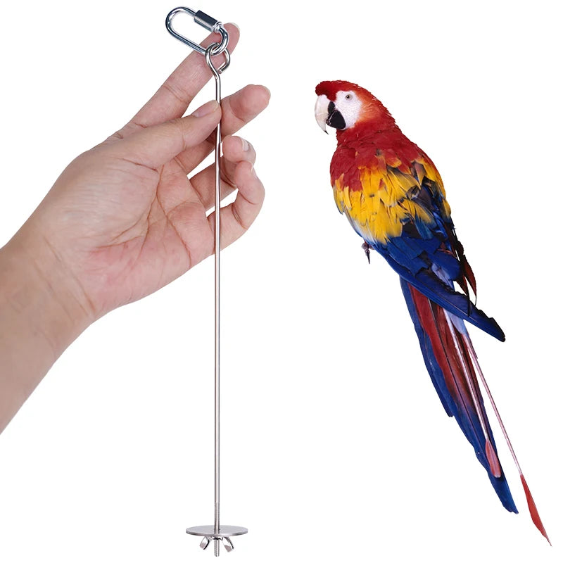 Parrot Stainless Steel Fruit Fork