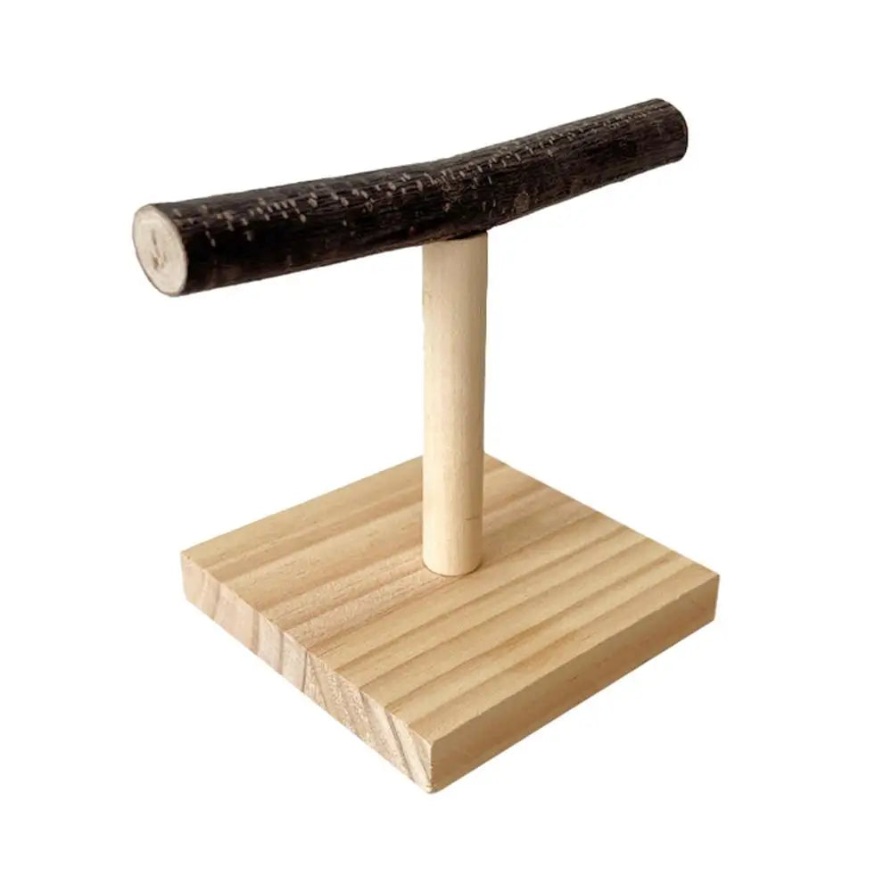 Pet Parrot Bird Standing Stick