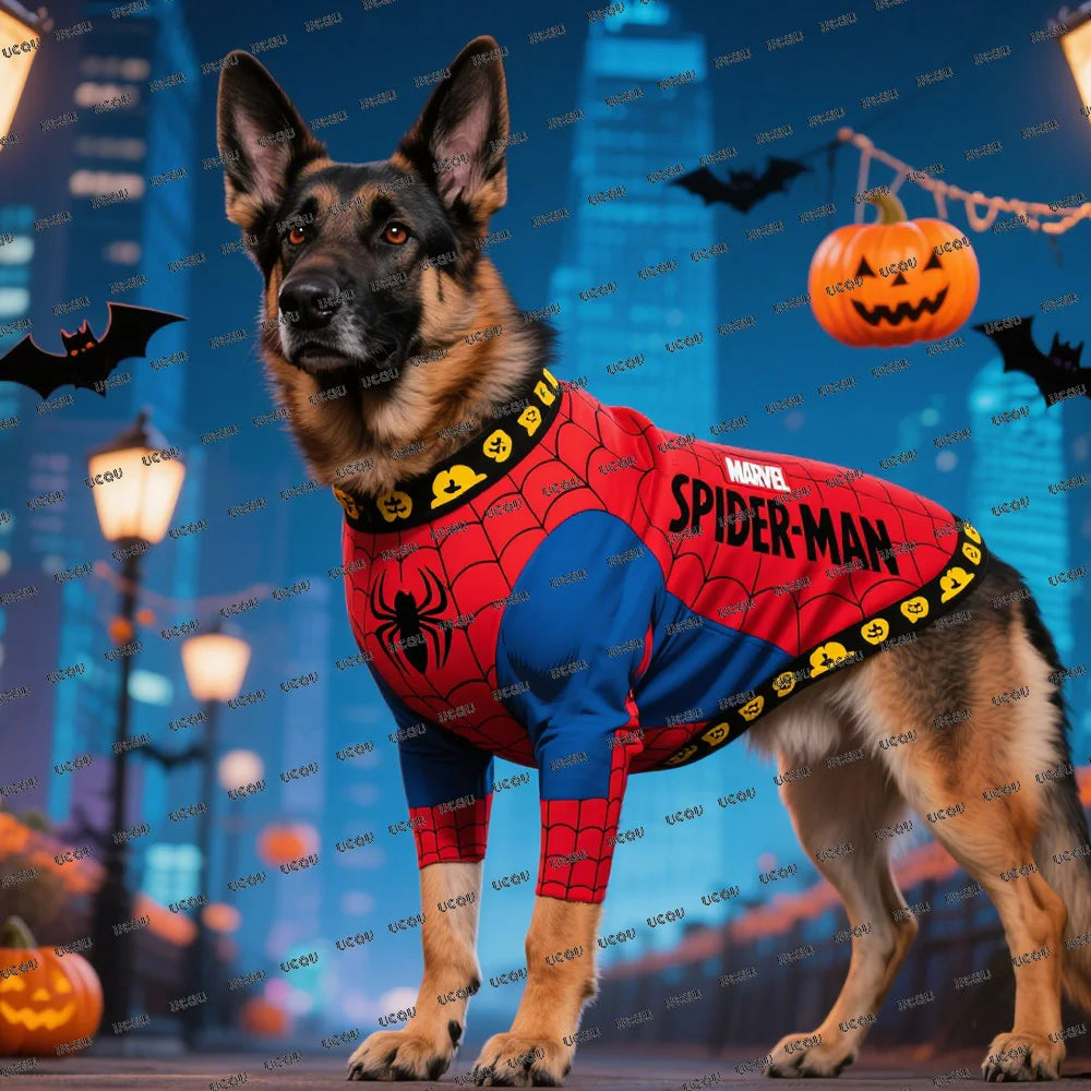Disney Marvel Spider-Man Pattern