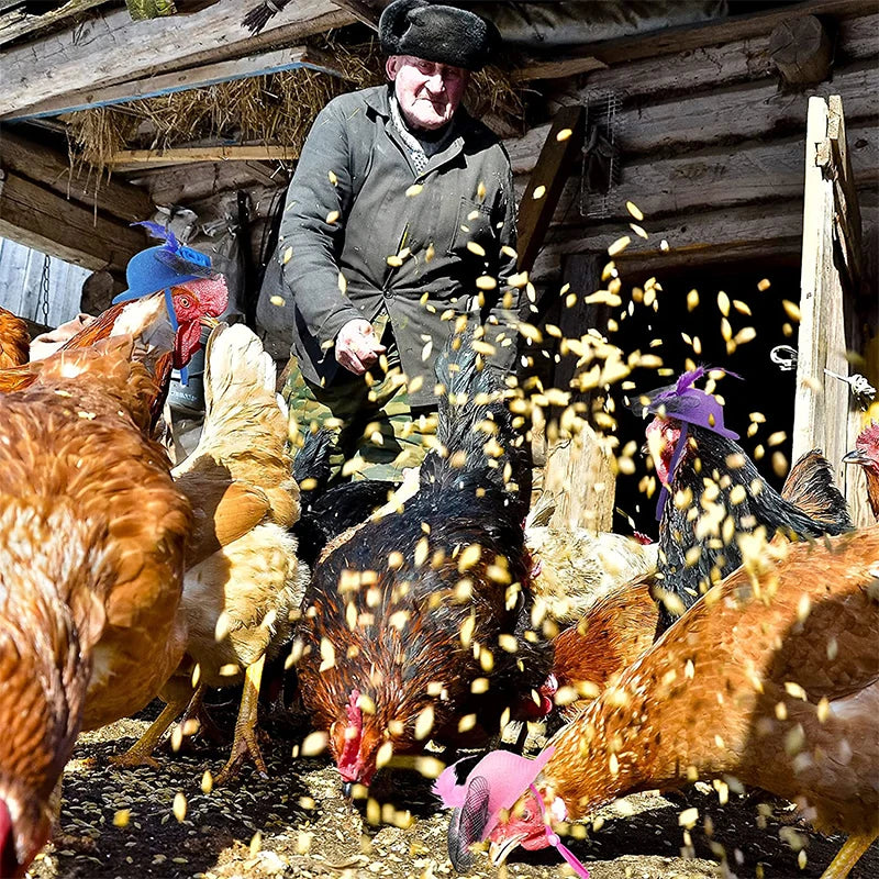 Chicken Hat for Tiny Pets