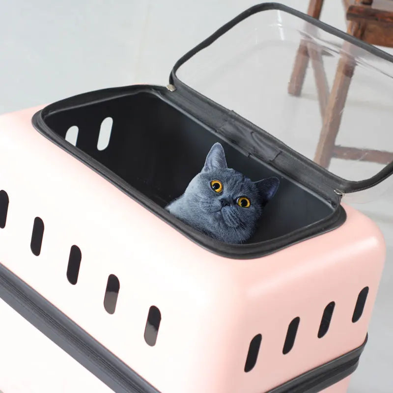 Large Pet Travel Carrier Rolling