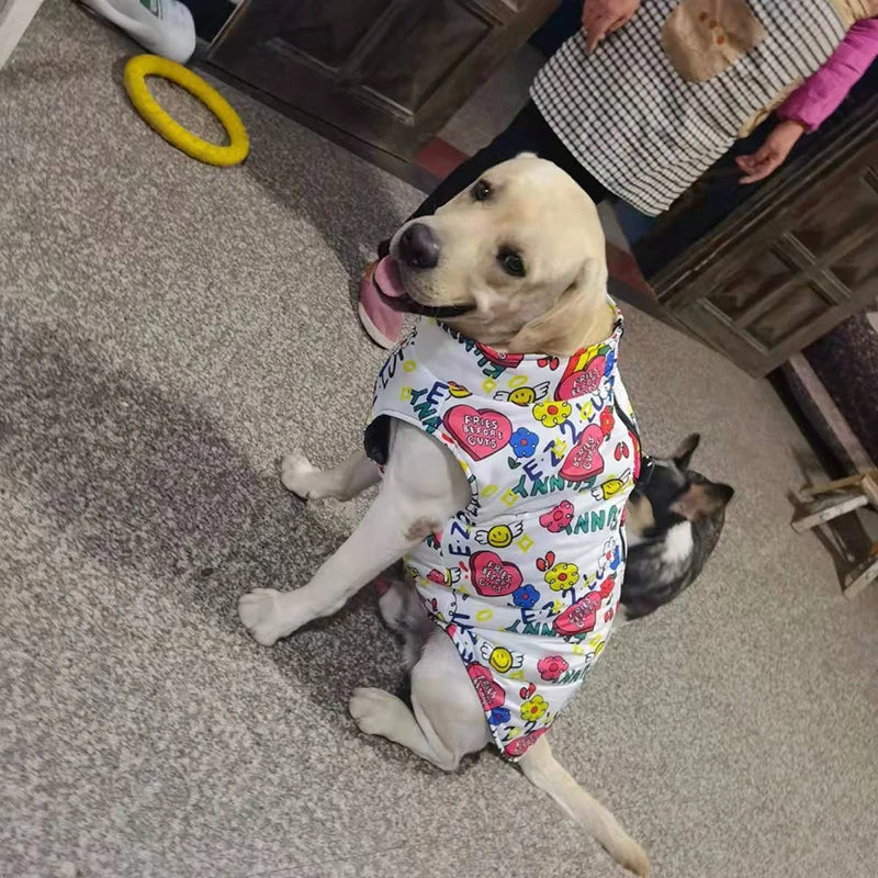 Fashion Big Dog Waterproof Jacket