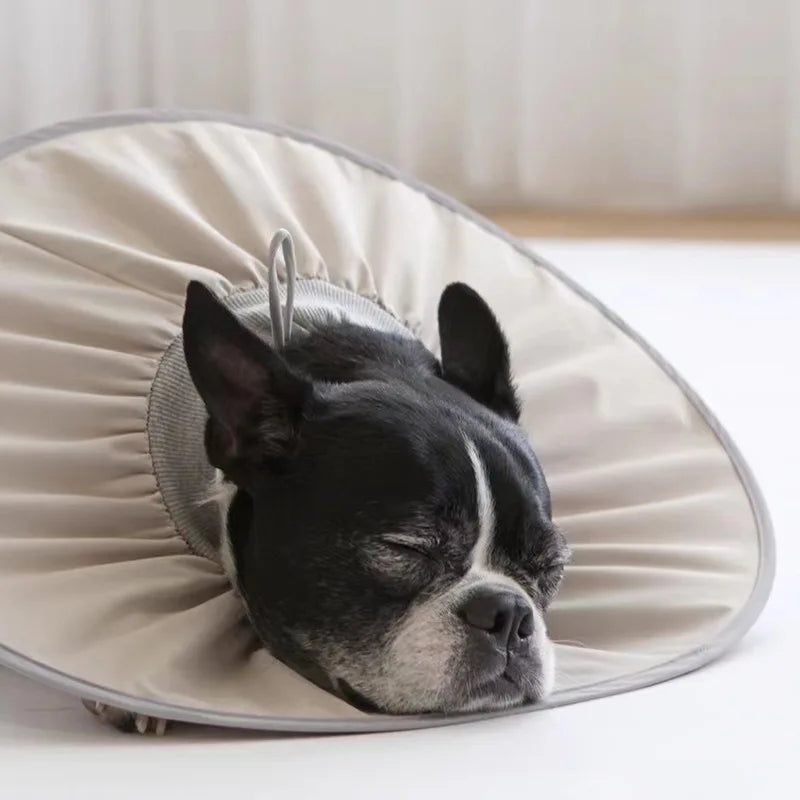 Pet Neutering Care Collar