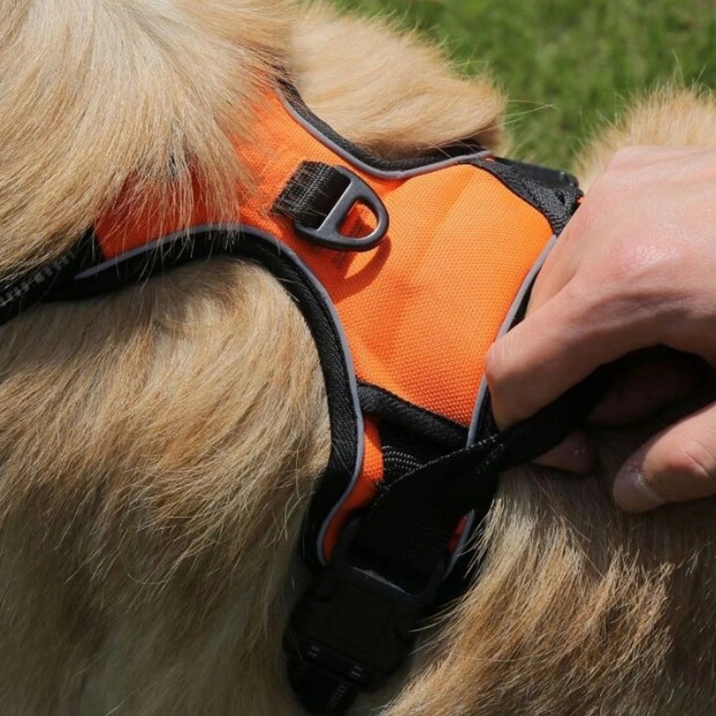 Dog Harness No Pull