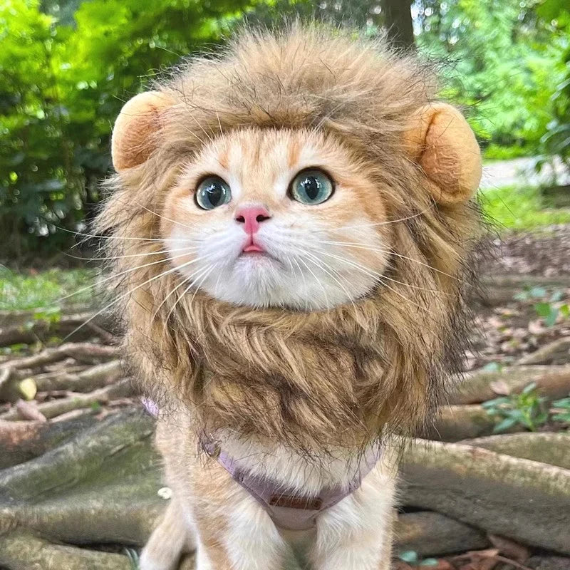Cat Cosplay Dress Up Pet Hat Lion Mane