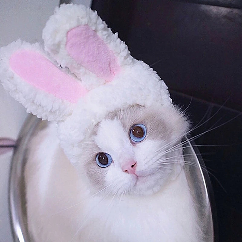 Cat Cosplay Dress Up Pet Hat Lion Mane
