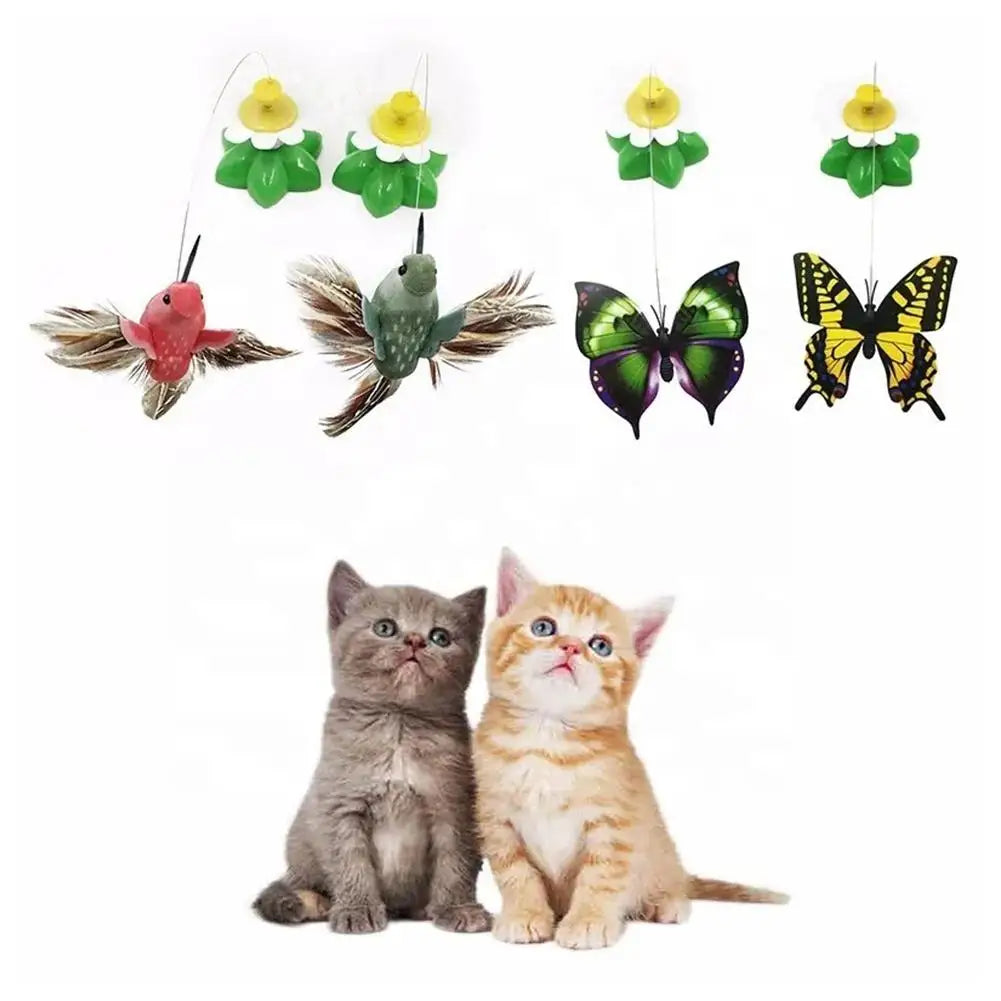 Electric Butterfly or Humming Bird Cat Toy