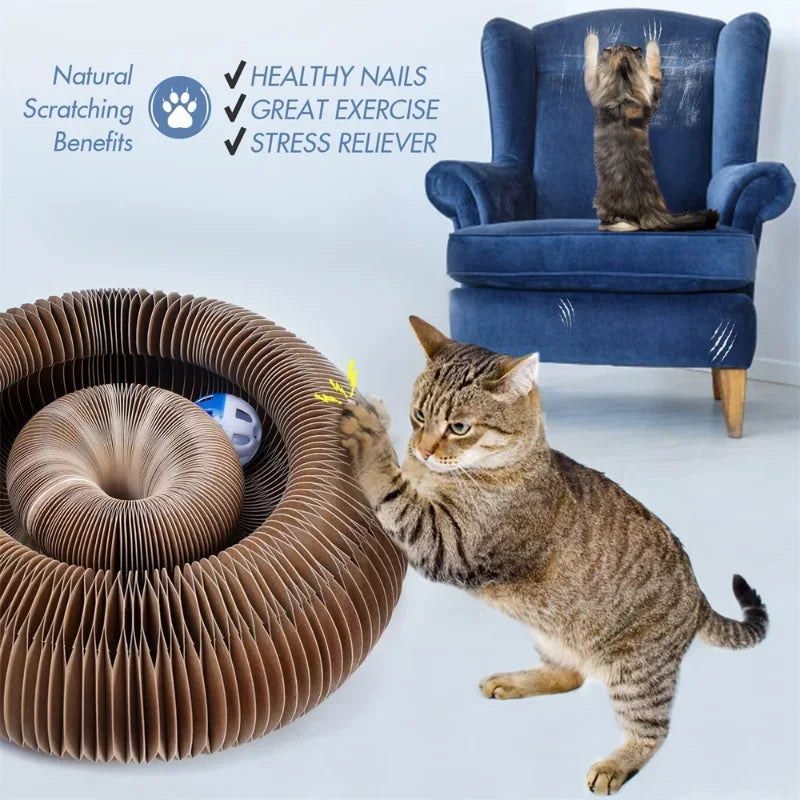 Pet accordion cat scratching board