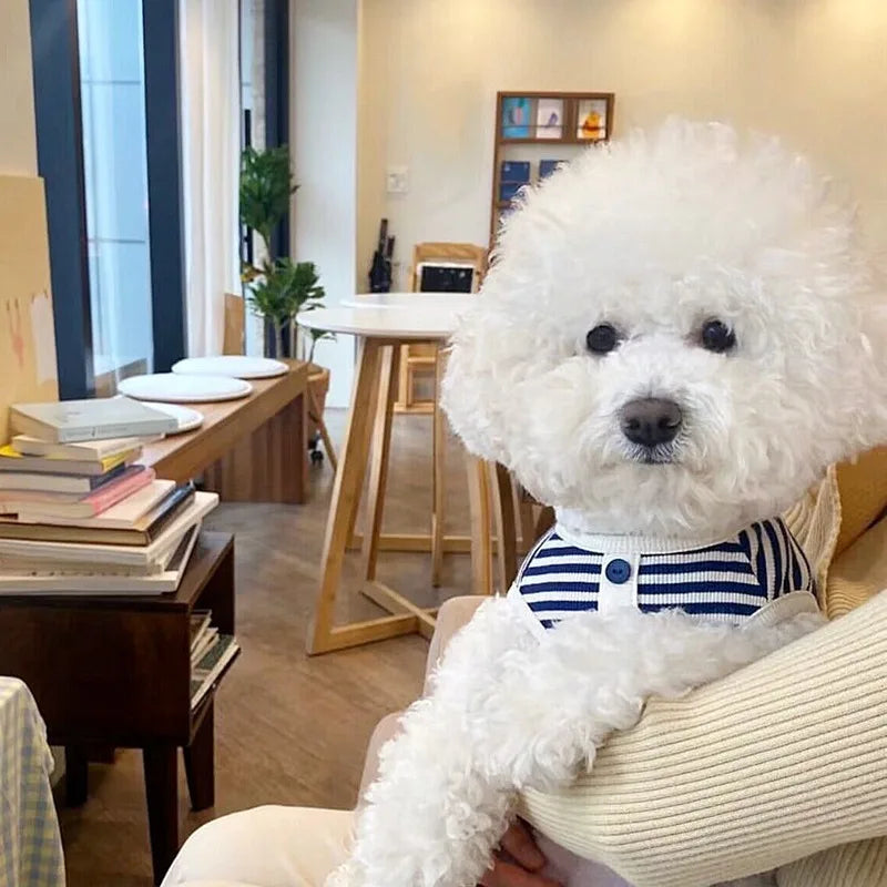 Pet Dog Striped Sweatshirt