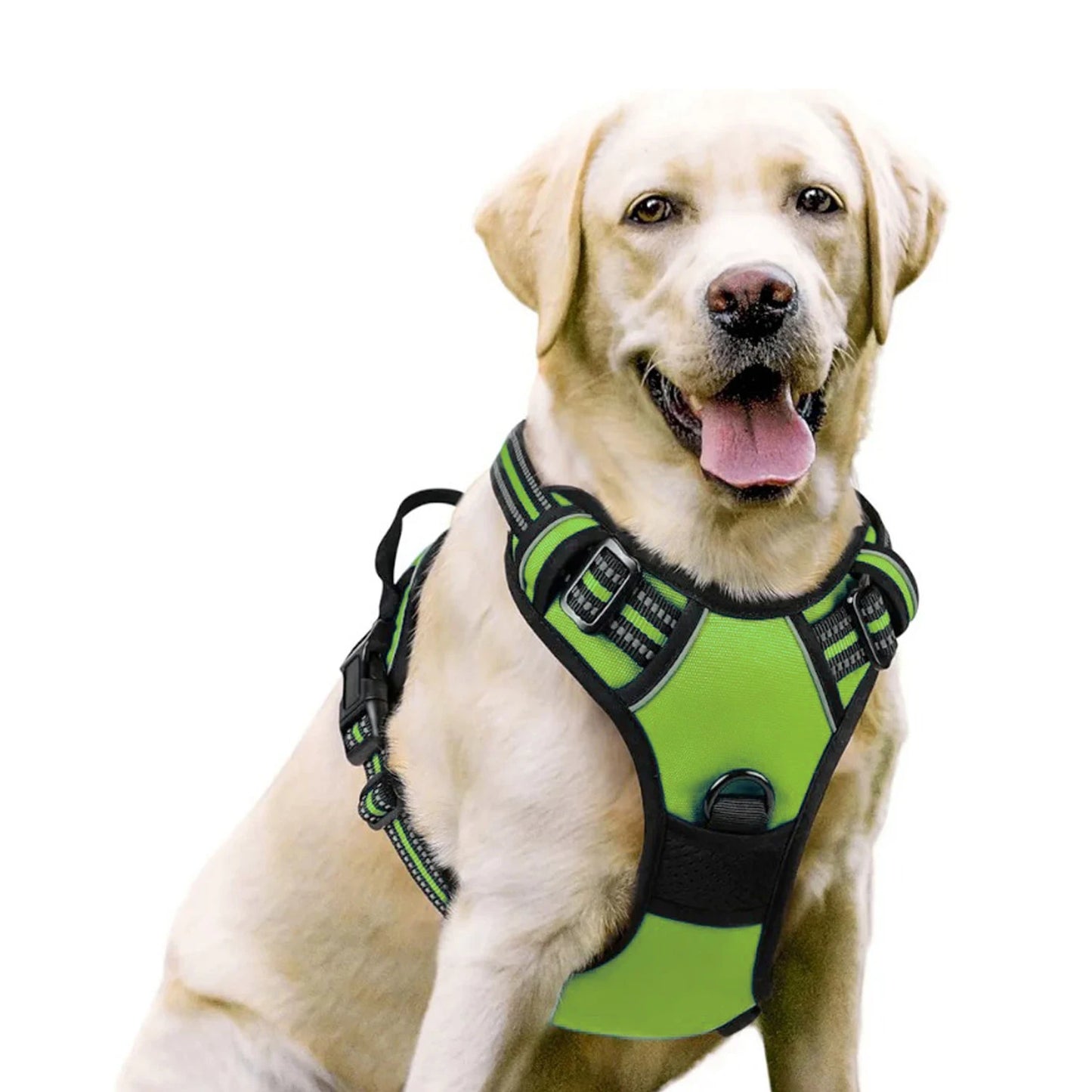 Dog Harness No Pull