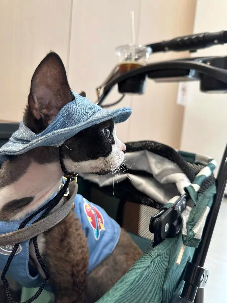 Fashion Cat hat Summer Sun Hats for Sphynx Kittens Open Ears Blue Cowboy Hats Adjustable Cap Cord for Devon Rex Cat Supplies