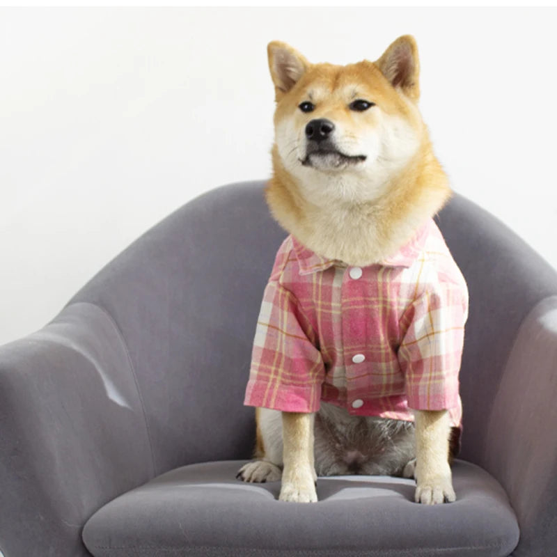 British Style Cat Dog Shirt