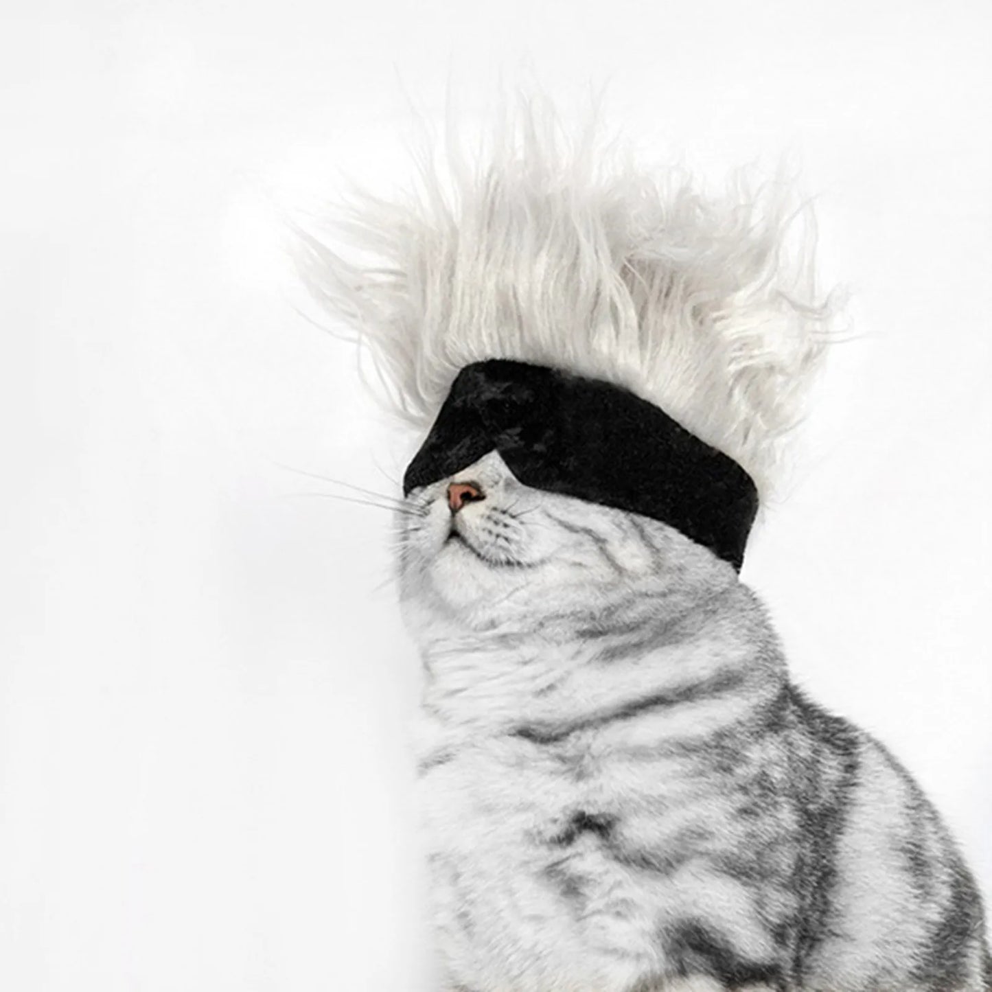 New Cool Pet Wigs