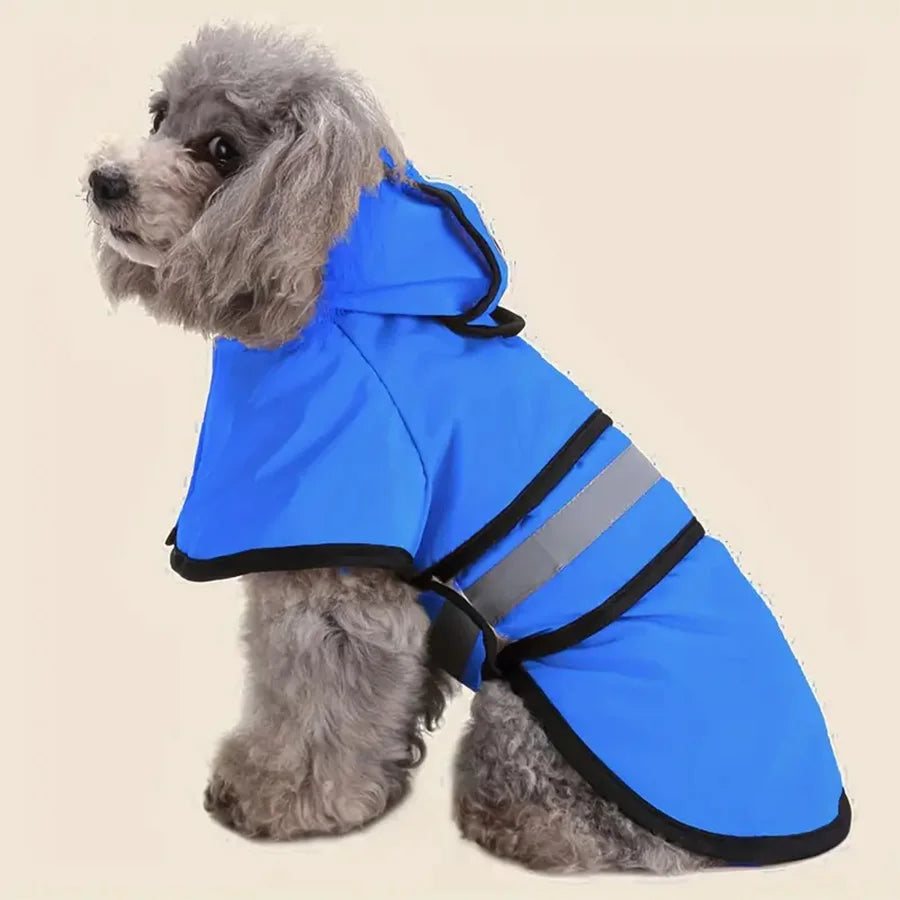 Keep Your Pet Dry And Comfortable