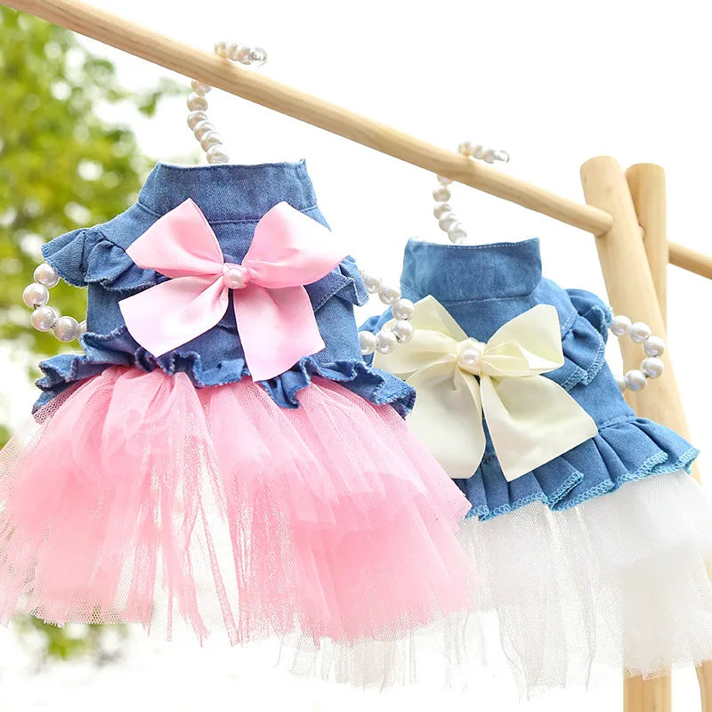 Denim Sphynx Cat Princess Dress