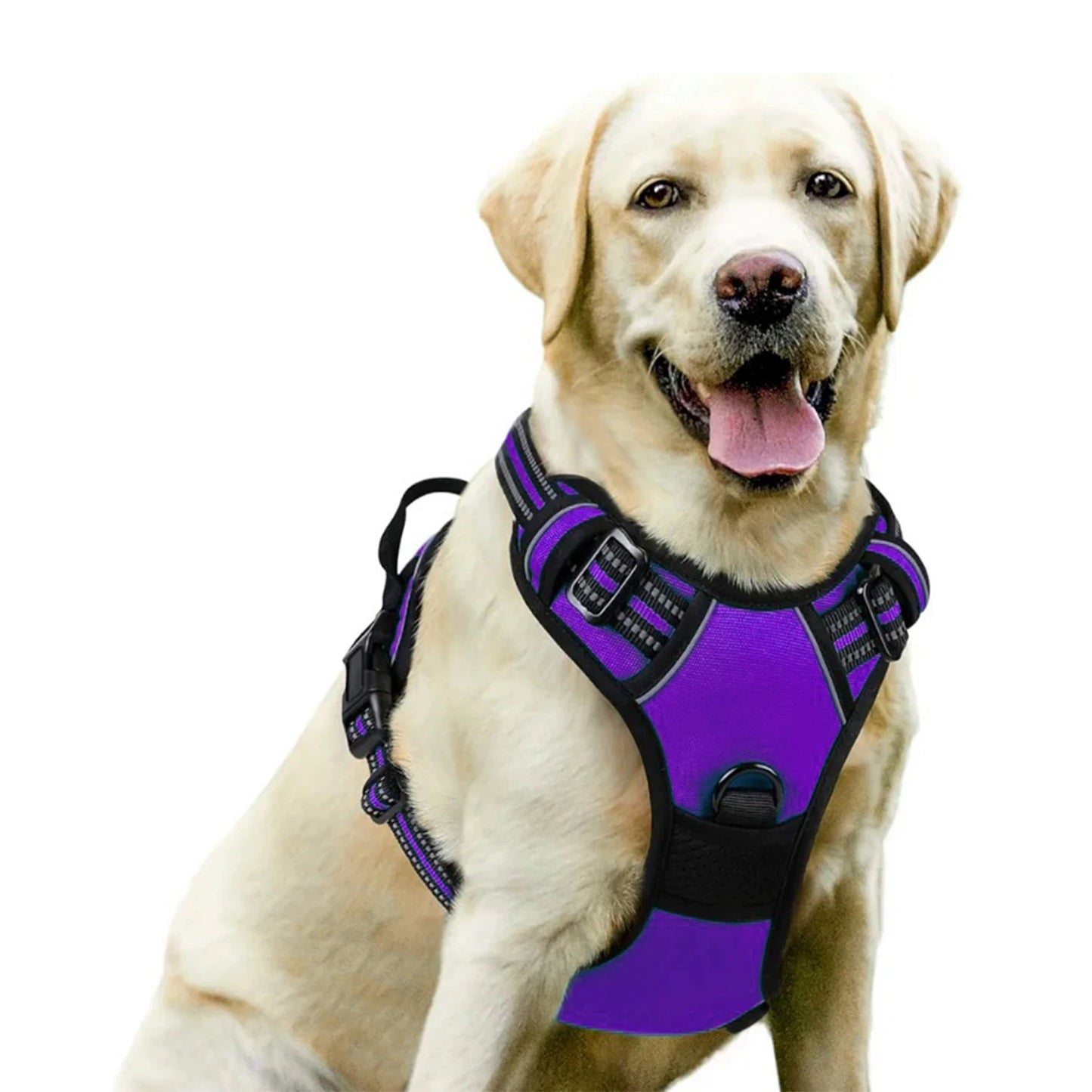 Dog Harness No Pull