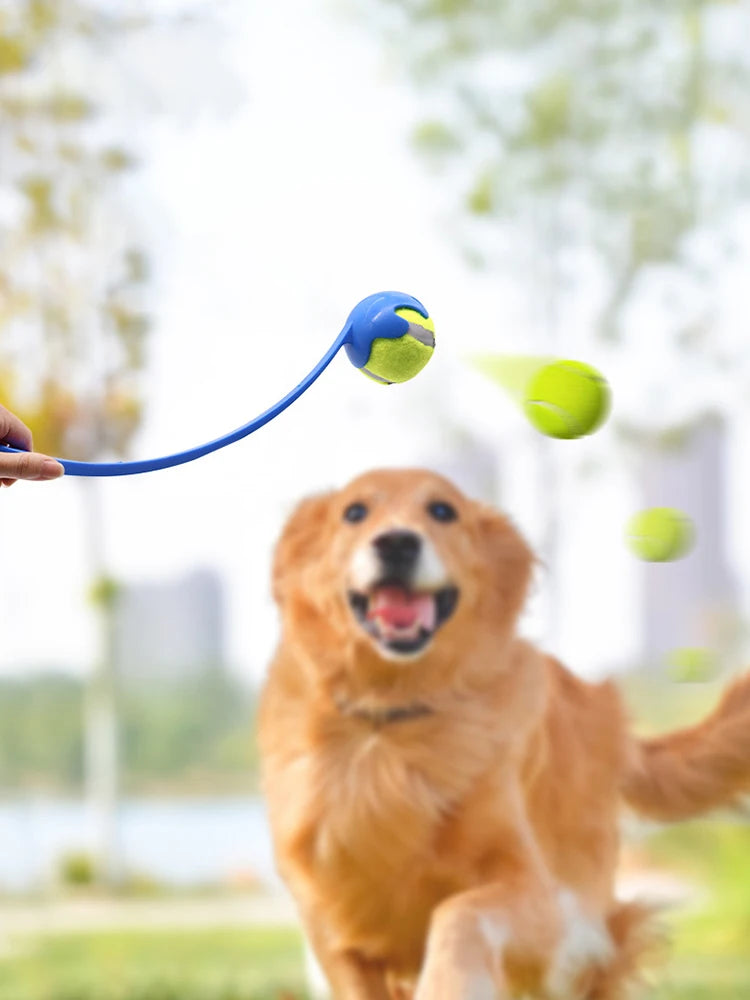 Pet Throwing Stick Toy