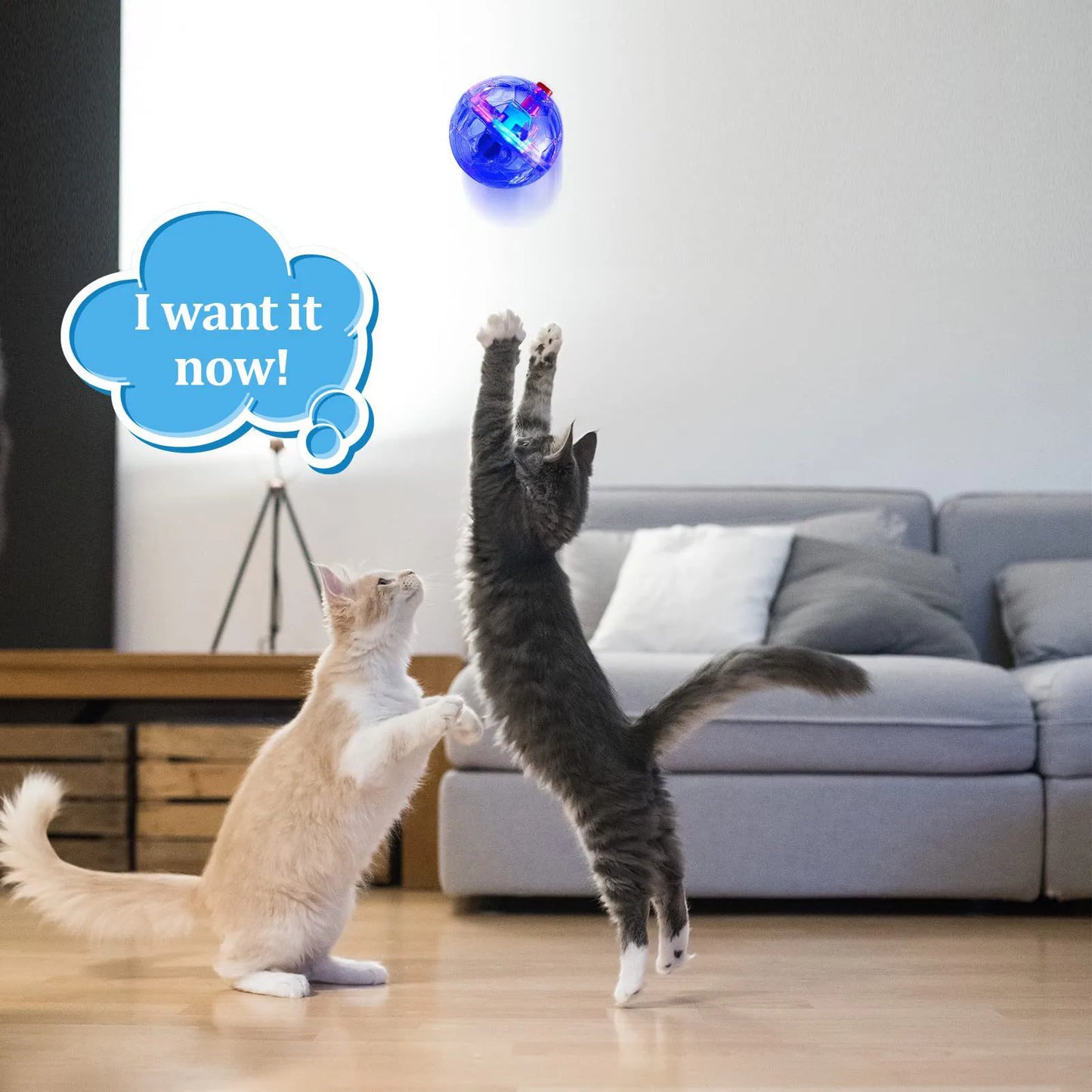3/6/9Pcs Interactive Cat Ball Toy