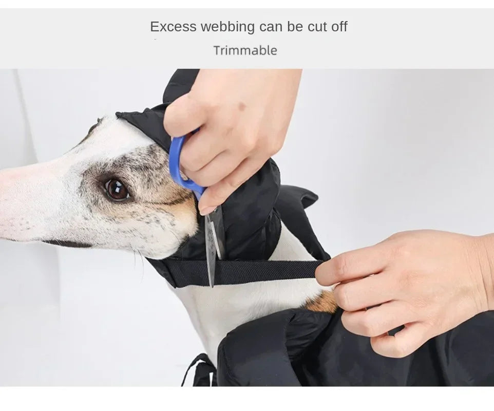 Halloween Witch-Shaped Costume