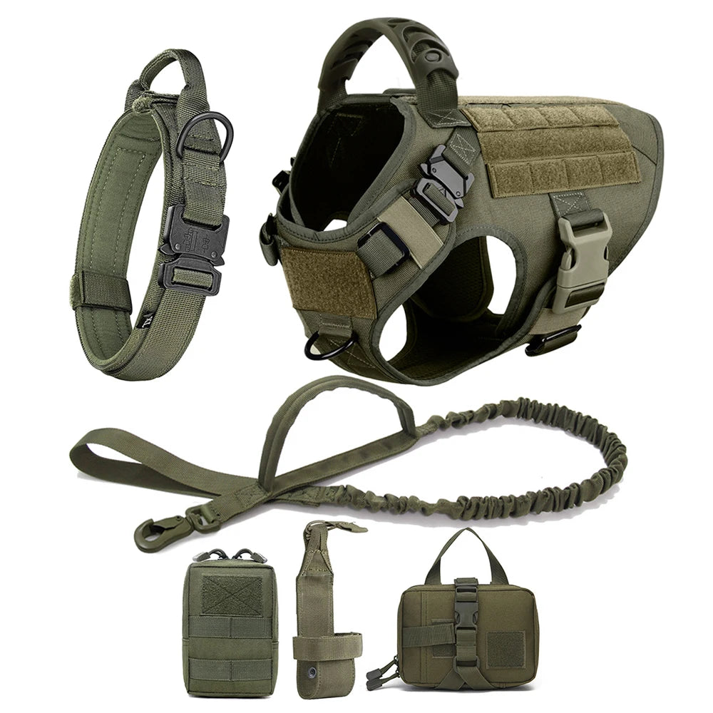 Large Dog Harness And Leash