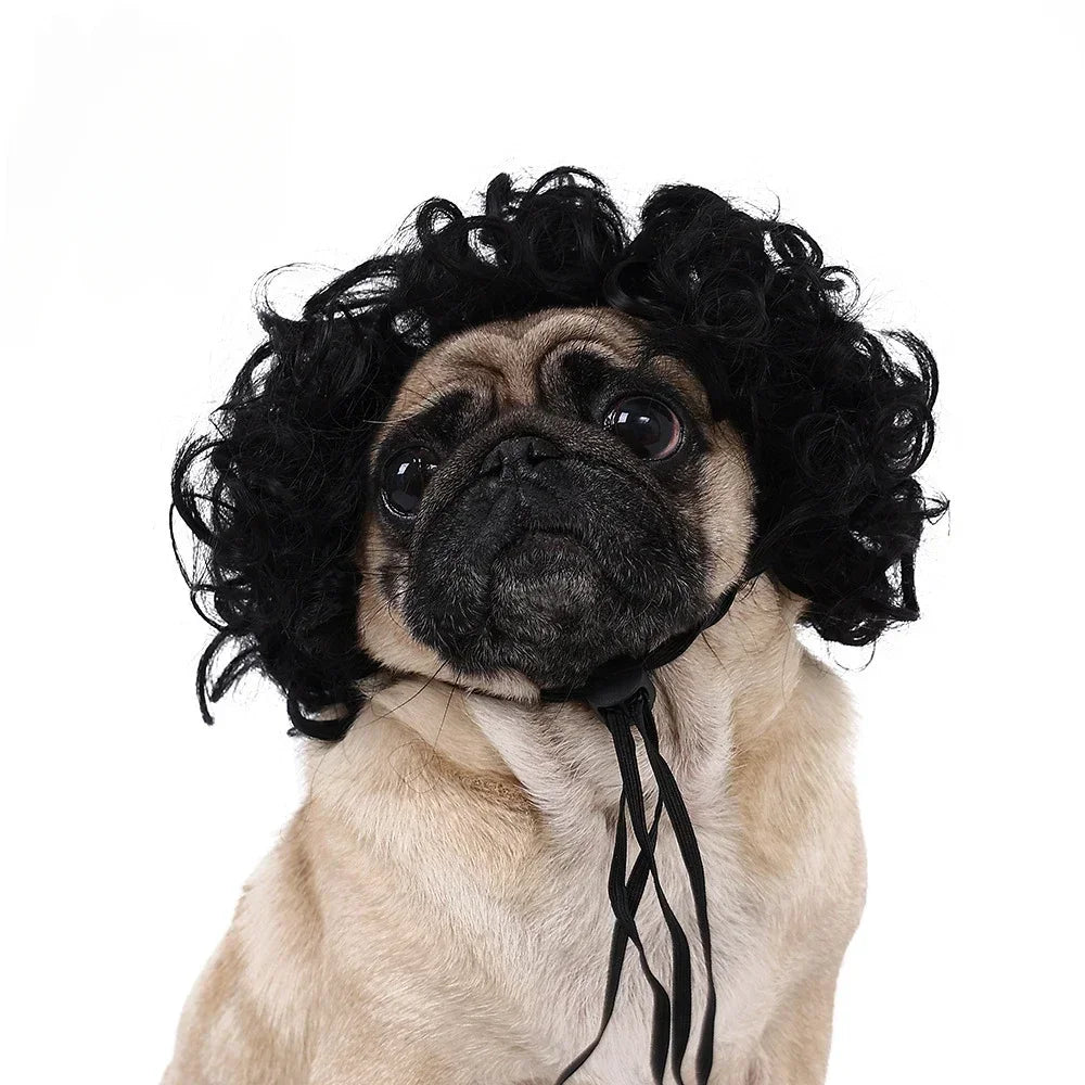 Pet Wig