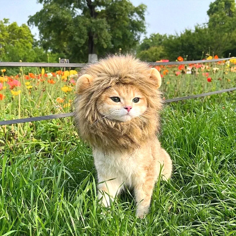 Cat Cosplay Dress Up Pet Hat Lion Mane