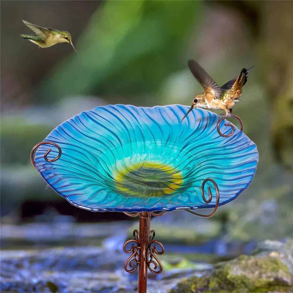 Bingopaw Bird Bath