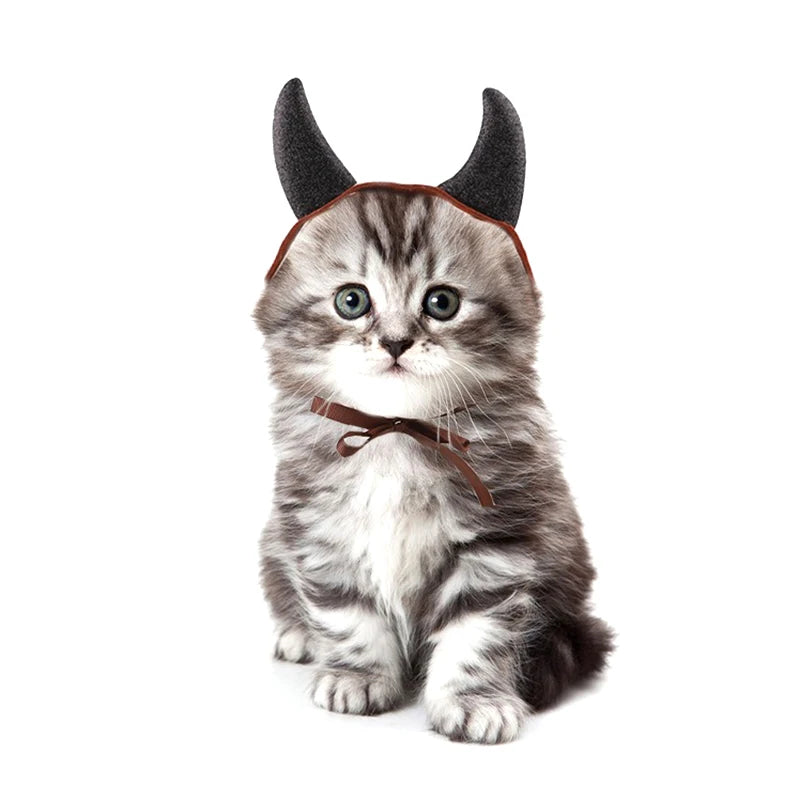 Halloween Ox Horn Headband for Cats