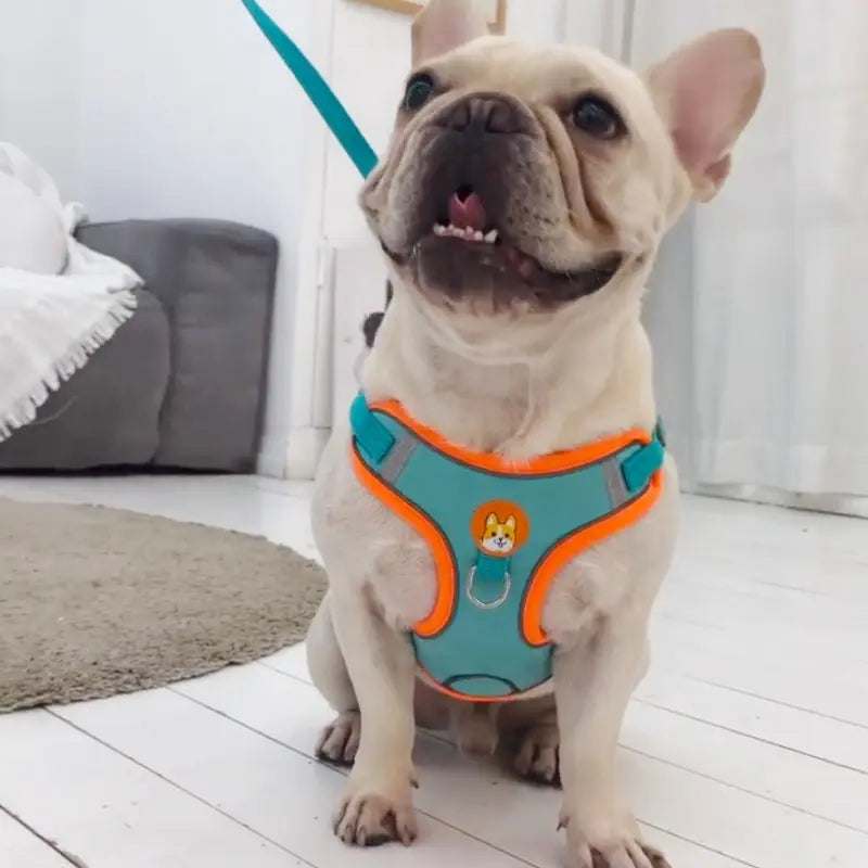 No Pull Pet Reflective Dog Harness