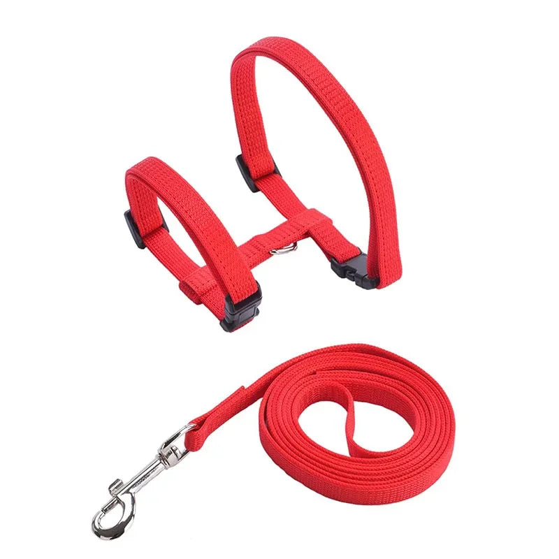 Escape-proof Small Dog Cat Harness Collar