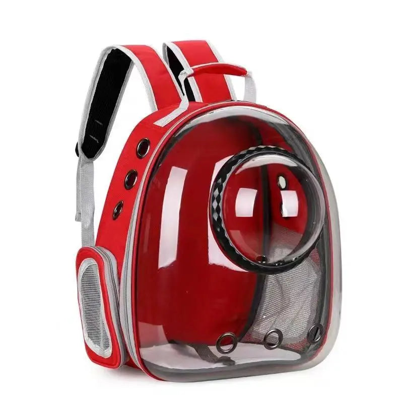 Transparent Cat Backpack