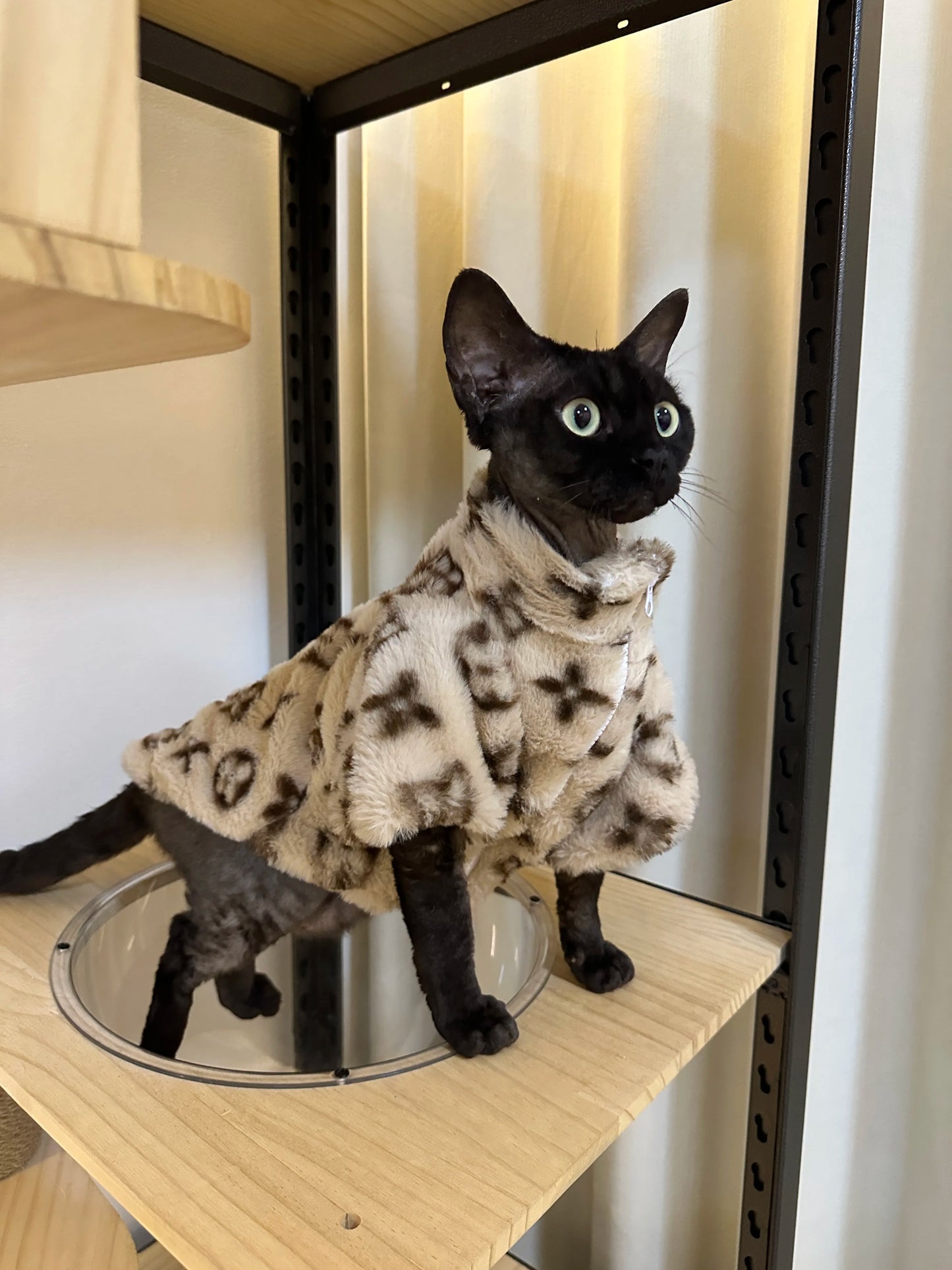 Smoked fur coat to keep warm