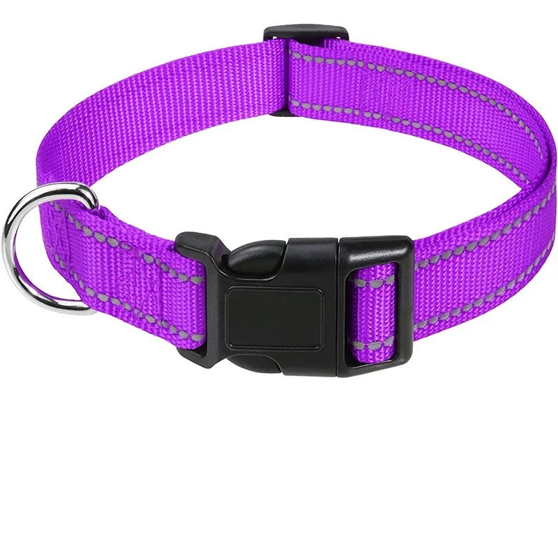 Choke Dog Collar