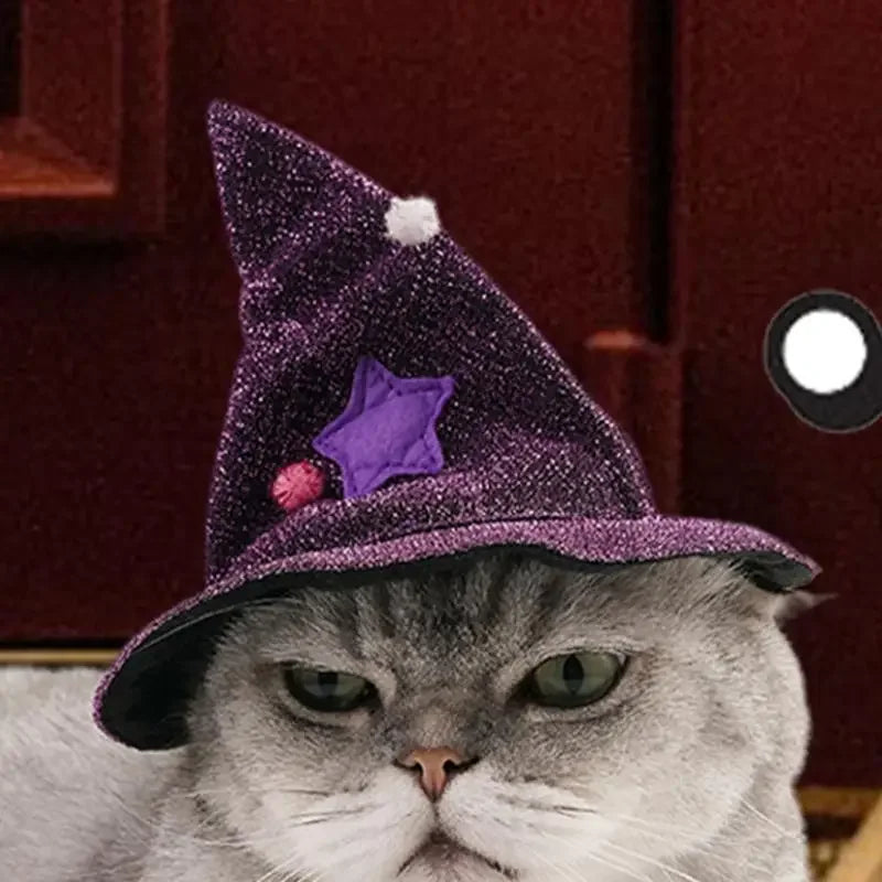 Cat Halloween wizard Costume