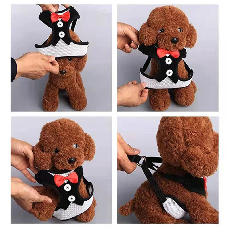 Elegant Bowtie Dog Harness Vest with Leash
