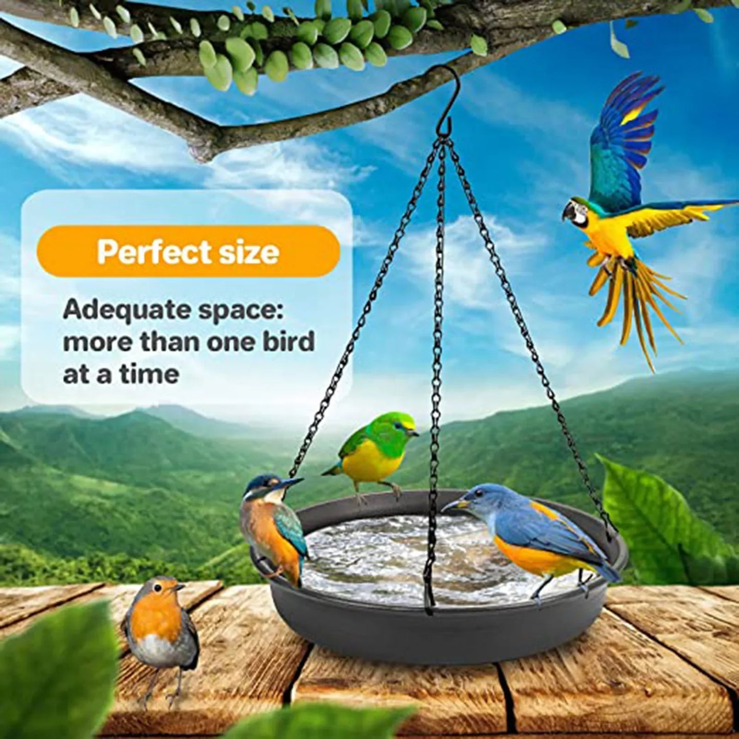 Hanging Bird Feeder, Water, Bath Tray