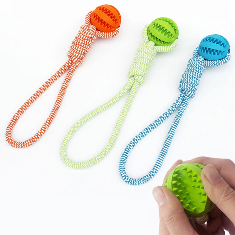 Pet Tooth Cleaning Ball Toy