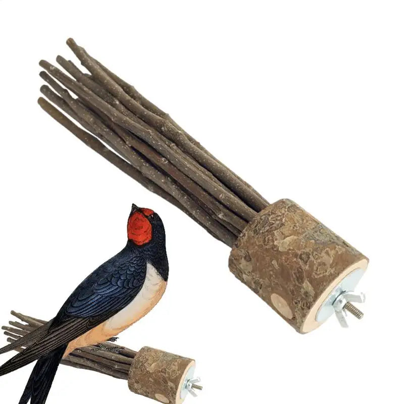 Pet Parrot Bird Standing Stick