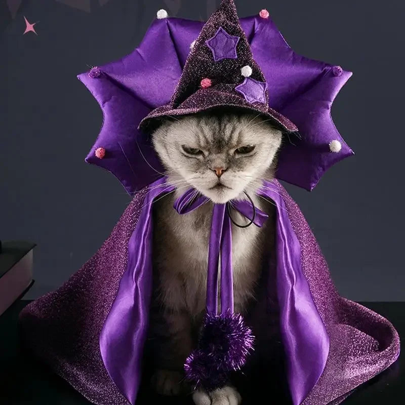 Cat Halloween wizard Costume