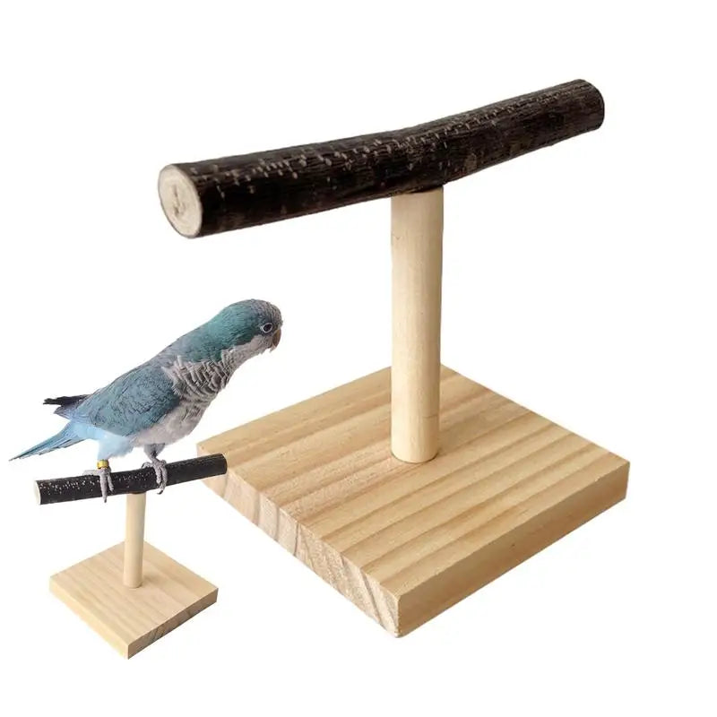 Pet Parrot Bird Standing Stick