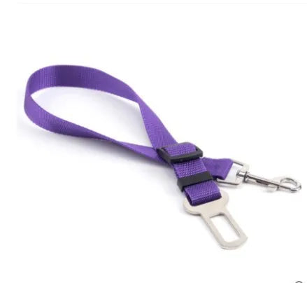 Car Seat Belt Buckle
