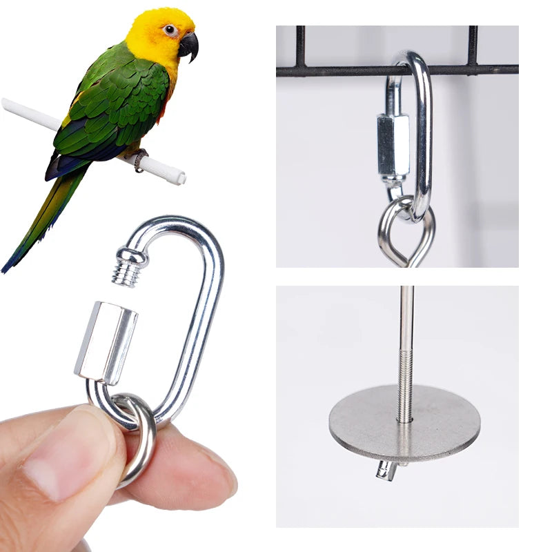 Parrot Stainless Steel Fruit Fork