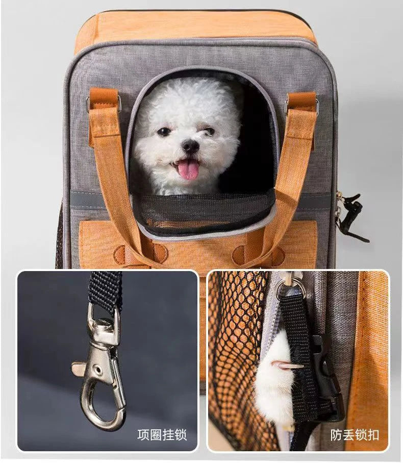 Backpack, Dogs and Cats Travel Back Bag