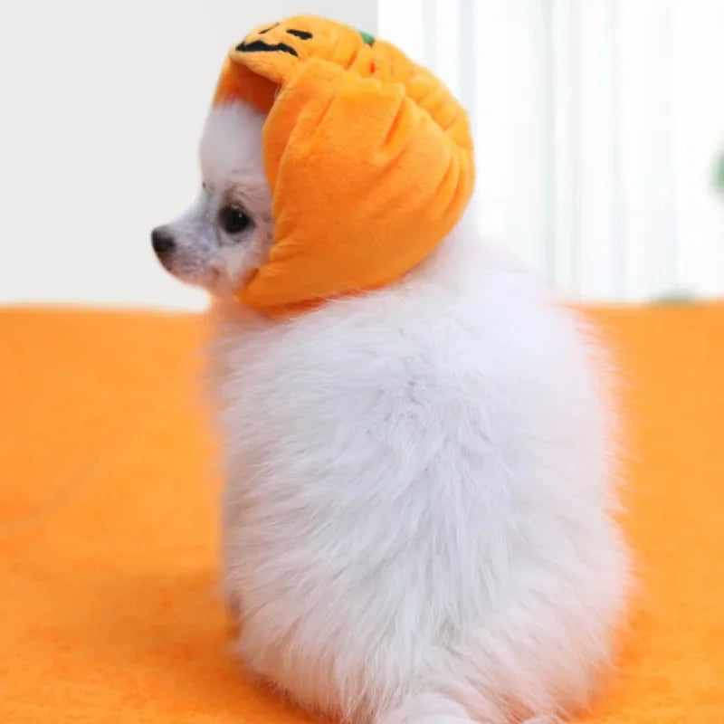 Cute Pet Pumpkin Hat