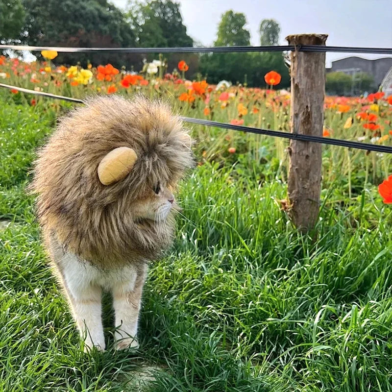 Cat Cosplay Dress Up Pet Hat Lion Mane