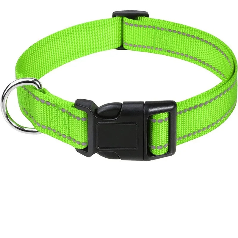 Choke Dog Collar