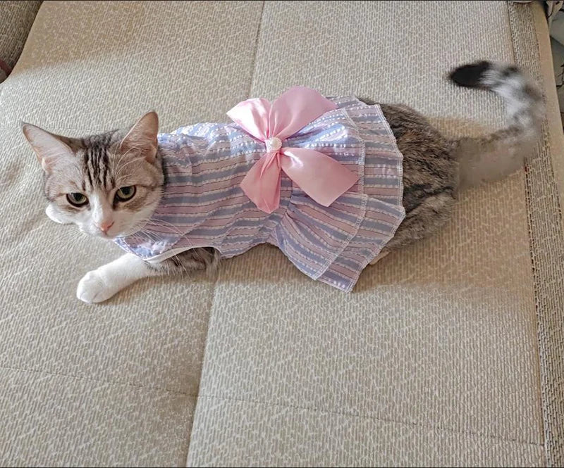 Spring Summer Stripe Sphynx Cat Bow Skirt