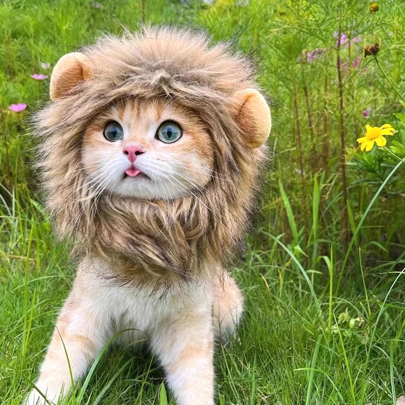 Cat Cosplay Dress Up Pet Hat Lion Mane